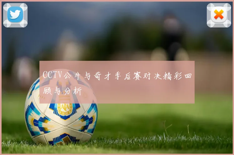 CCTV公牛与奇才季后赛对决精彩回顾与分析