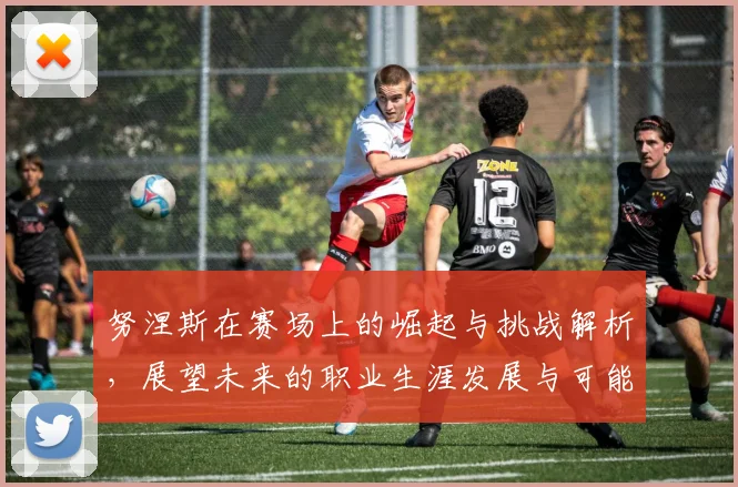 努涅斯在赛场上的崛起与挑战解析，展望未来的职业生涯发展与可能性