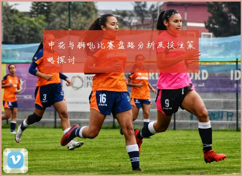 申花与狮吼比赛盘路分析及投注策略探讨