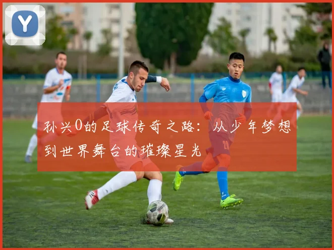 孙兴O的足球传奇之路：从少年梦想到世界舞台的璀璨星光