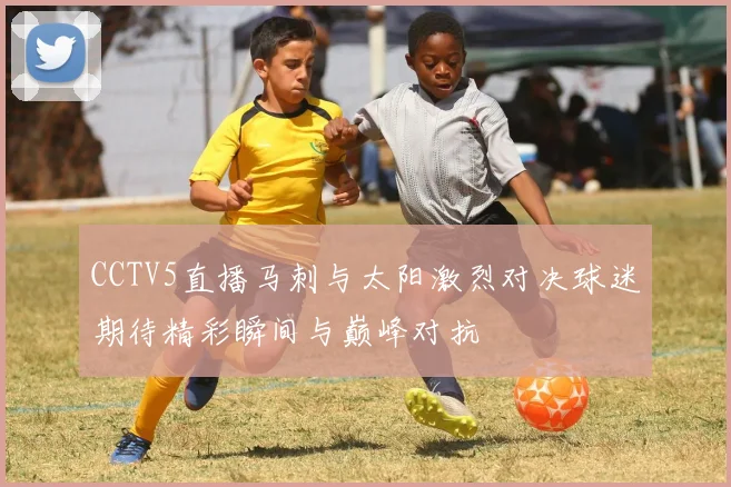 CCTV5直播马刺与太阳激烈对决球迷期待精彩瞬间与巅峰对抗